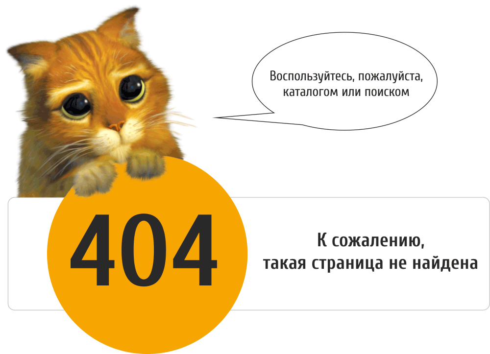 404_oshibka_kot.png